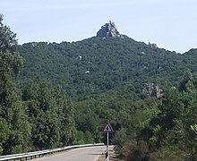 Leucograniti nella foresta di Pantaleo (Santadi): rocca Perda Posta Intremini.