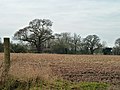 Thumbnail for File:Ploughed field near Sparrow's Farm - geograph.org.uk - 3294904.jpg