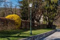 * Nomination Blooming forsythia bush in a hedge on «Hans Pruscha Weg», Pörtschach, Carinthia, Austria --Johann Jaritz 01:59, 3 April 2017 (UTC) * Promotion Good quality. --Uoaei1 04:01, 3 April 2017 (UTC)