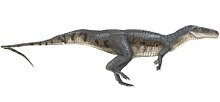 Poposaurus Poposaurus gracilis flipped.jpg