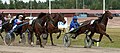 * Nomination: Start number 5 in Pori harness racing track 6.8.2011. Horse number 3 is Incredible Dream D with Markku Nieminen and number 5 is Dottie D.Kemp with Tuomo Ojanperä. --kallerna 20:29, 28 November 2011 (UTC) * * Review needed