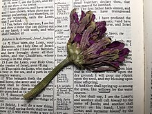 A book with a weighted object on top of it can be used to press plants Pressed flower.jpg