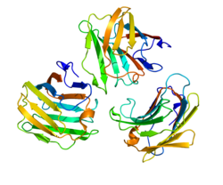 Protein LGALS9 PDB 2EAK.png