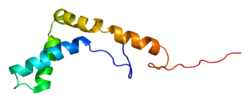 Ақуыз PMS1 PDB 2cs1.png