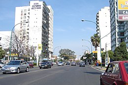 Olivos