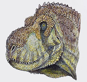 Kunstnerisk rekonstruksjon av hodeseksjonen til Pycnonemosaurus