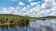 Thumbnail for Kaw-Roura Marshland Nature Reserve