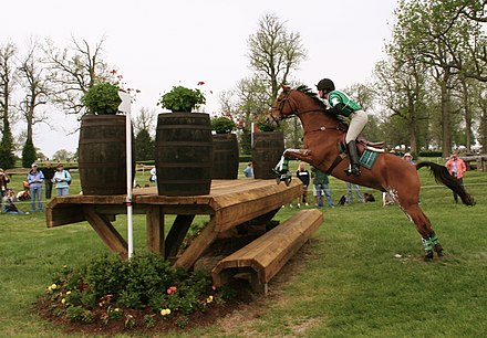 3 day eventing. Троеборье кросс конный спорт. Барьеры кросс конный спорт троеборье. Теннесси Уокер конкур. Кросс Кантри лошади.