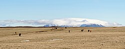 Thumbnail for Oddnýjarhnjúkur-Langjökull volcanic system