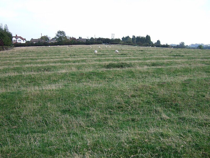 File:Ridge and furrow.JPG