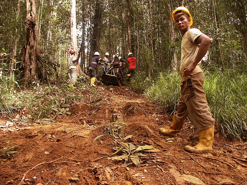 File:Rig Crew on Halmahera Island.jpg