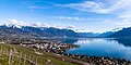 * Nomination: La vue de Chardonne de la Riviera, du Chablais et du Haut-Lac du Léman. --Espandero 11:19, 30 March 2024 (UTC) * * Review needed