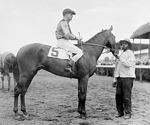 Roamer (horse) - Wikipedia