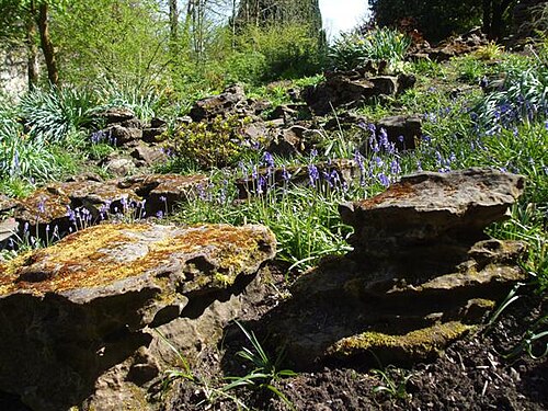 Rock Garden Wikiwand