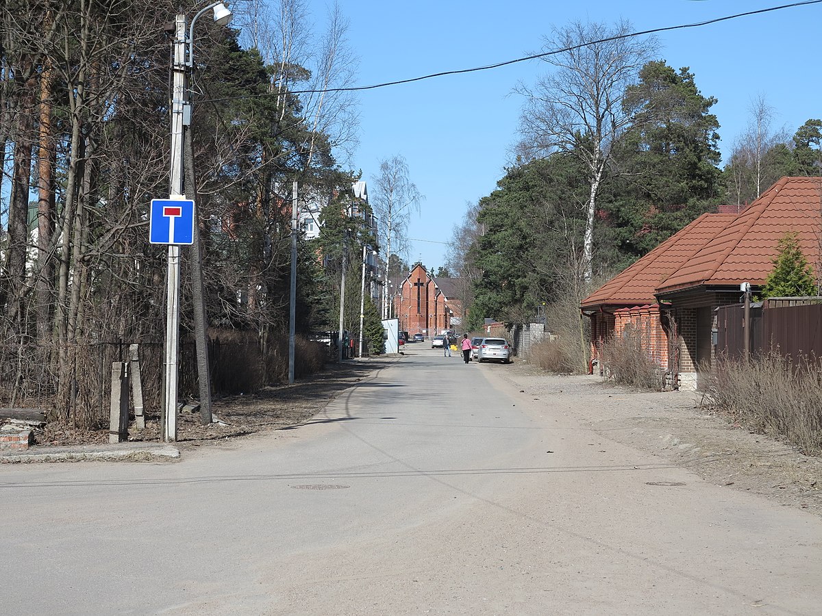 Рябиновая улица (Санкт-Петербург) — Википедия