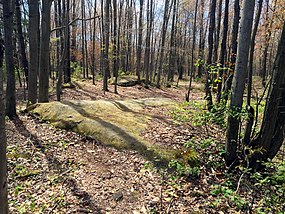 An outcrop of Marshall Sandstone at Sanilac Petroglyphs Historic State Park SPHSP bedrock outcrop 01.jpg