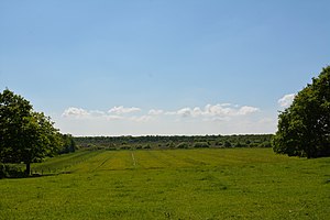 Schleswig-Holstein, Naturschutzgebiet Herrenmoor bei Kleve NIK 5733.JPG