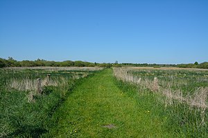 Schleswig-Holstein, Nordhastedt, Fieler Moor NIK 0540.JPG