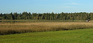 Schreckensee.JPG