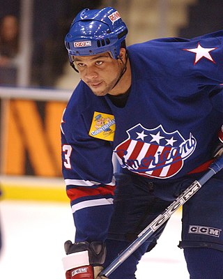 <span class="mw-page-title-main">Sean McMorrow</span> Canadian professional ice hockey winger (born 1982)