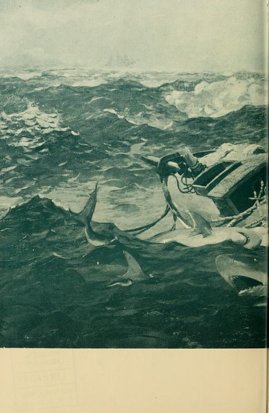 File:Shadows in the sea BHL10741442.jpg