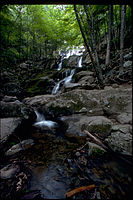 Shenandoah National Park SHEN9210.jpg