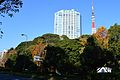 遠景 画像中央左下に位置。都心部の東京タワー近く。