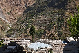 Shikha (Nepál)