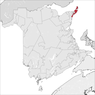 <span class="mw-page-title-main">Shippagan-Lamèque-Miscou</span> Provincial electoral district in New Brunswick, Canada