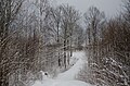 * Nomination: Snowy walking path in Holmestrand.--Peulle 10:19, 4 April 2023 (UTC) * * Review needed