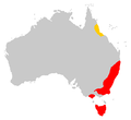 Dasyurus maculatus distribution (2 subspecies)