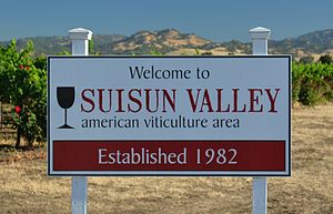 Suisun Valley AVA