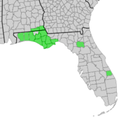 Map of Alabama and Florida with counties of distribution of Symphyotrichum chapmanii shaded in green