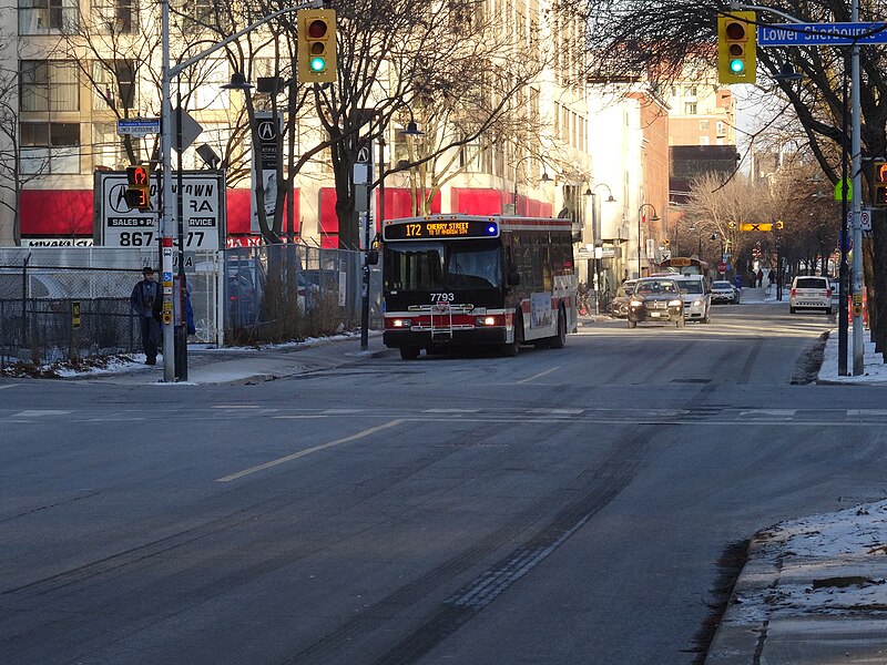 File:TTC bus 7793 proceeding west on the Esplanade, 2015 01 13 (7) (16280872475).jpg