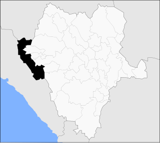 Tamazula Municipality Municipality in Durango, Mexico