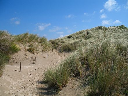 The dunes at Ter Yde, located between Groenendijk and Oostduinkerke-Bad.
