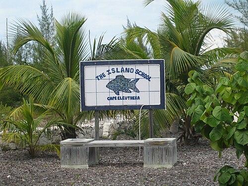 Island school. "The Island School" на Багамских островах. Школы на Багамах. Остров школа. Элеутера остров на Багамах.