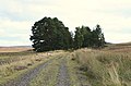 The dismantled track of the Forres to Perth railway near Cairn Eney. - geograph.org.uk - 545125.jpg