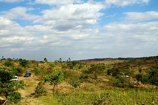 maastoa Kilimanbogossa.