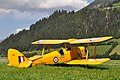 Tiger Moth