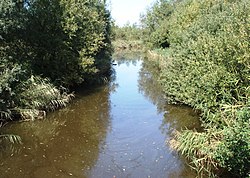 Timmendorfer-Strand - Aalbek.JPG