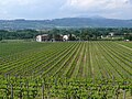 View from Torgiano to Perugia