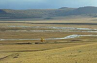 Tree on the Mongolian steppe (June 1997).jpg