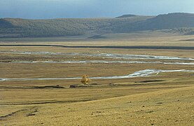 Mongolian-Manchurian grassland region of the eastern Eurasian Steppe in Mongolia.
