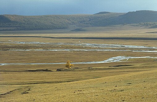 Región de pastizales mongol-manchuria de la estepa eurasiática oriental en Mongolia