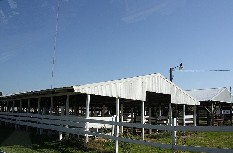 File:TrempealeauCountyFairgroundsGalesville.jpg