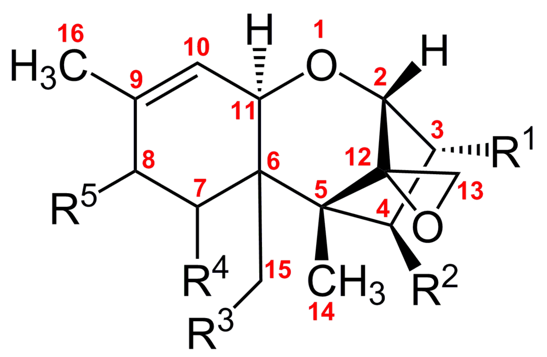 Trichotheceen