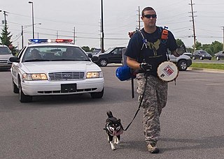 <span class="mw-page-title-main">Troy Yocum</span> Iraq War veteran