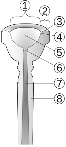 Cut-away view of trumpet mouthpiece:
Inner rim diameter
Rim width
Rim contour
Rim Edge
Cup
Throat
Backbore
Shank Trumpet mouthpiece cut-away numbered.svg