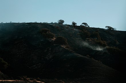 Smoldering brush in the Tumbleweed Fire, which burned 1,000 acres of vegetation north of Los Angeles in July 2021